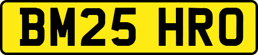 BM25HRO