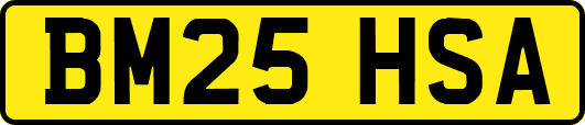 BM25HSA