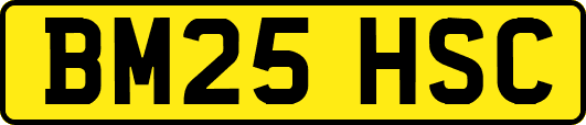 BM25HSC