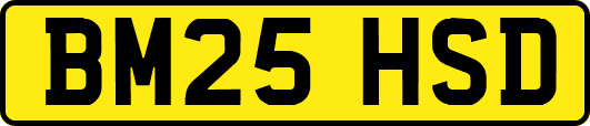 BM25HSD