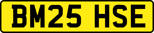 BM25HSE