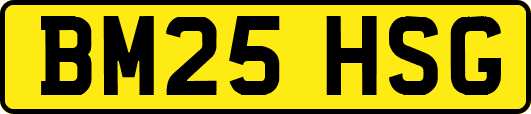 BM25HSG