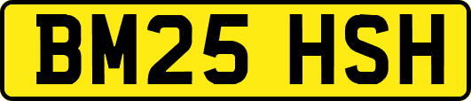 BM25HSH