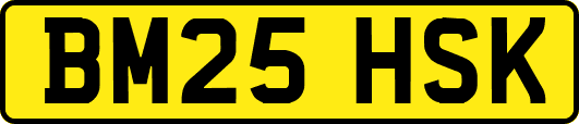 BM25HSK