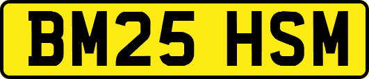 BM25HSM
