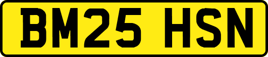 BM25HSN