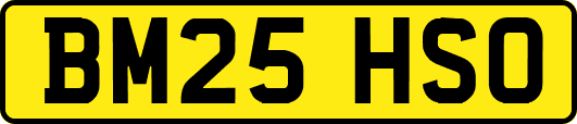 BM25HSO