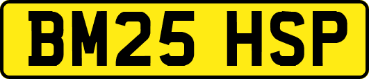 BM25HSP