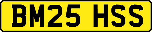 BM25HSS