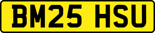 BM25HSU