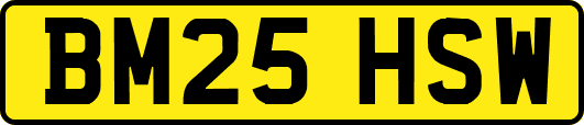 BM25HSW