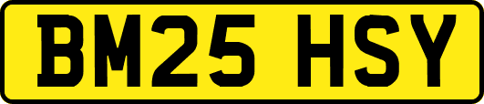 BM25HSY