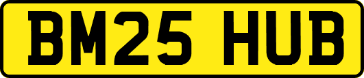 BM25HUB