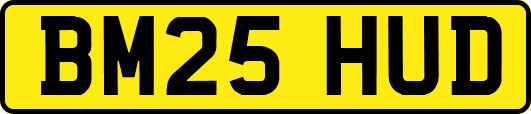 BM25HUD