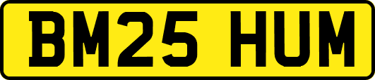 BM25HUM