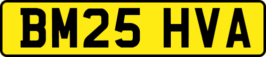 BM25HVA