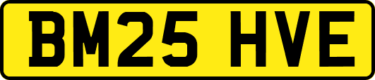 BM25HVE