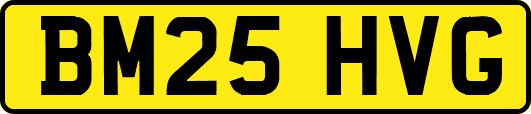 BM25HVG