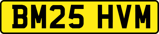 BM25HVM