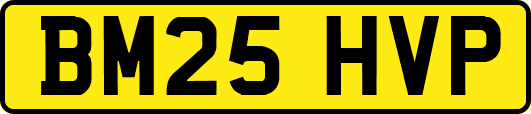 BM25HVP
