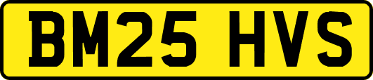 BM25HVS