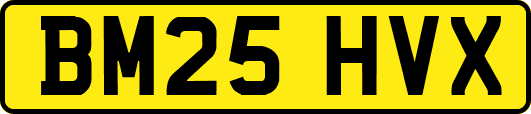 BM25HVX
