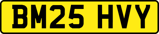 BM25HVY