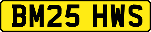 BM25HWS