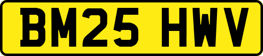 BM25HWV