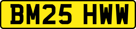BM25HWW