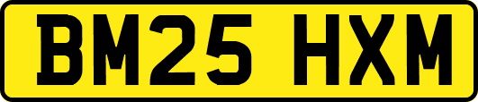 BM25HXM