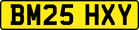 BM25HXY