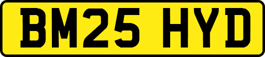 BM25HYD