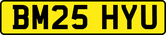 BM25HYU