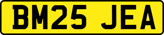 BM25JEA