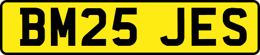 BM25JES