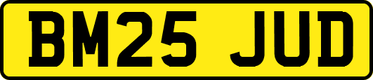 BM25JUD