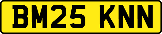BM25KNN