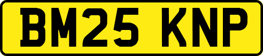 BM25KNP