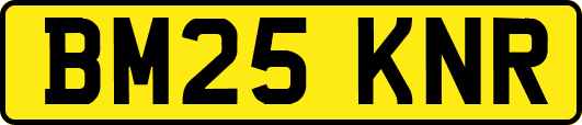 BM25KNR