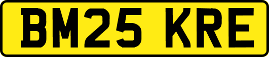 BM25KRE