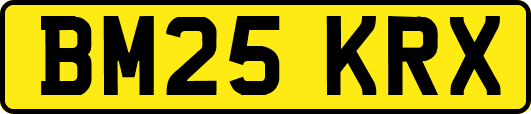 BM25KRX