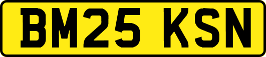 BM25KSN