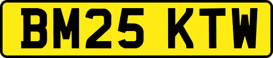 BM25KTW