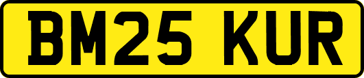 BM25KUR