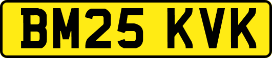 BM25KVK