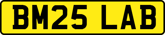 BM25LAB