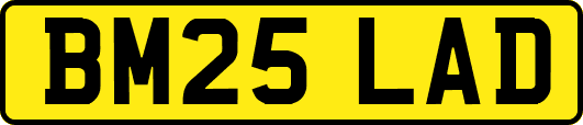 BM25LAD