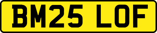 BM25LOF