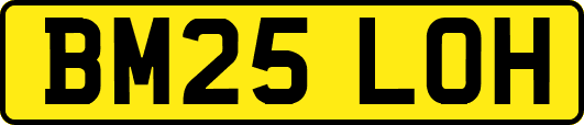 BM25LOH